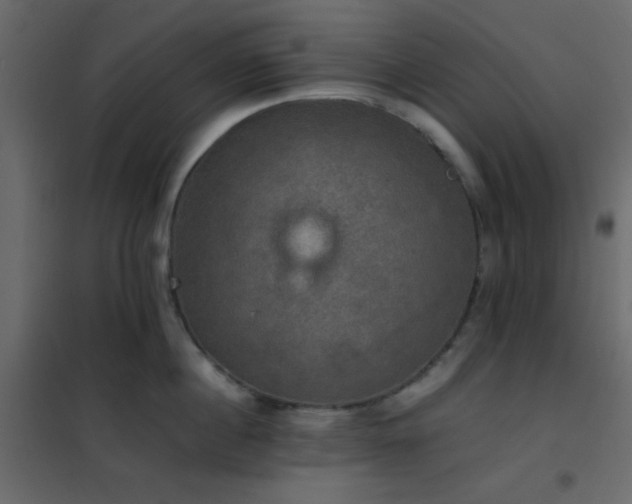 X0000102520860200808081426