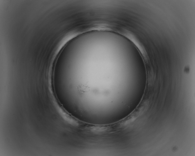 X0000102520861200808081426