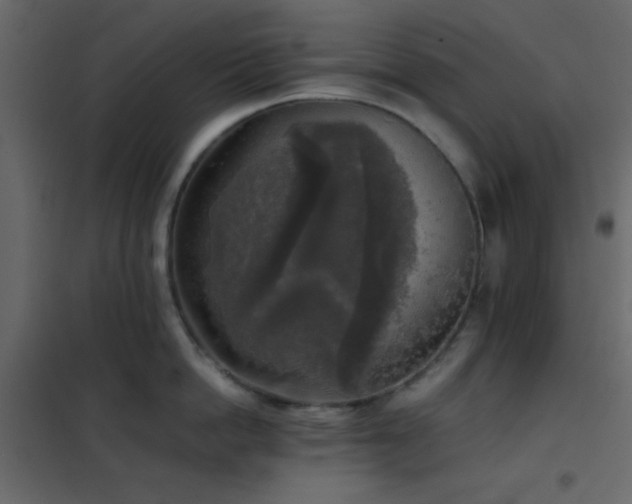 X0000102520862200808081426