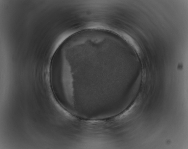 X0000102520863200808081426