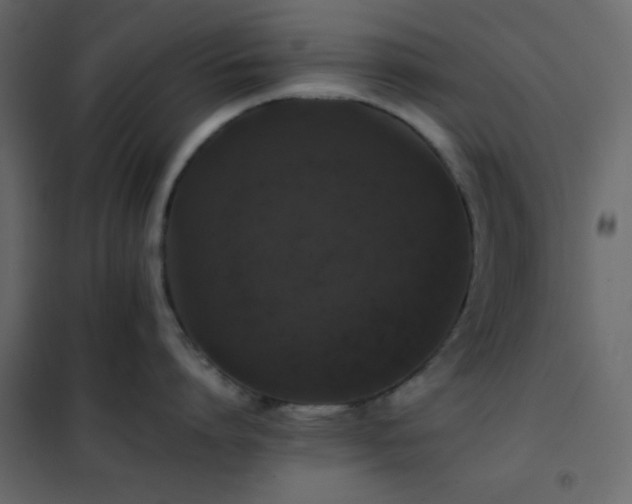 X0000102520864200808081426