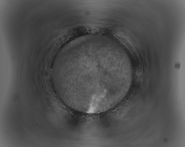 X0000102520865200808081425