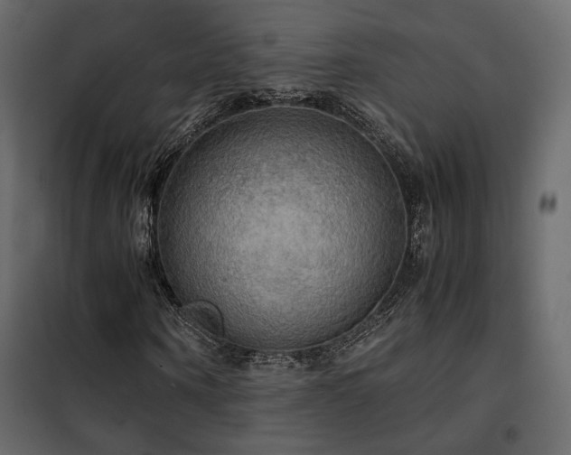 X0000102520866200808081425