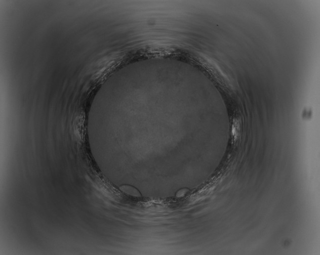 X0000102520867200808081425