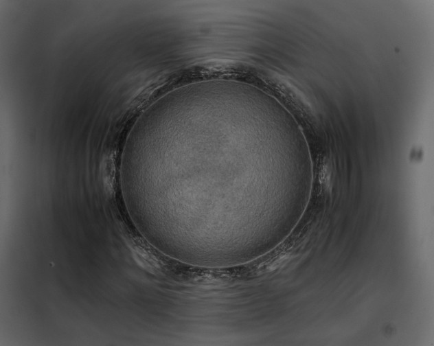 X0000102520868200808081425