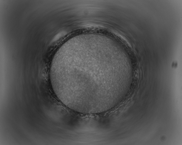 X0000102520869200808081425