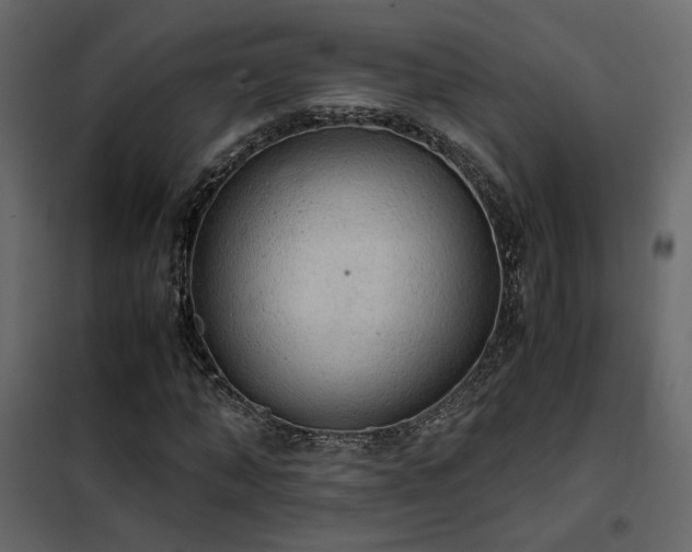 X0000102520870200808081425