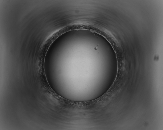 X0000102520872200808081425