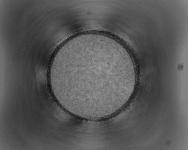 X0000102520873200808081425