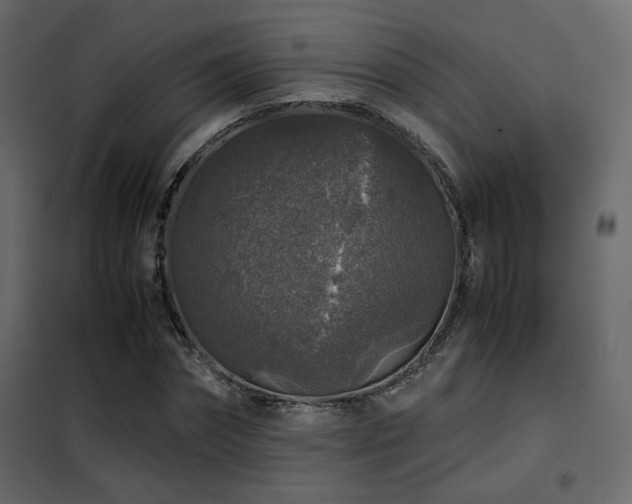 X0000102520874200808081425