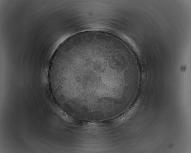 X0000102520875200808081425