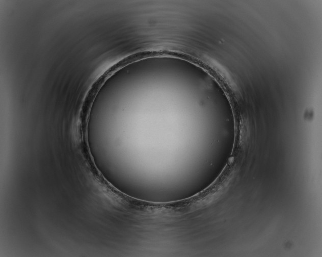 X0000102520876200808081425