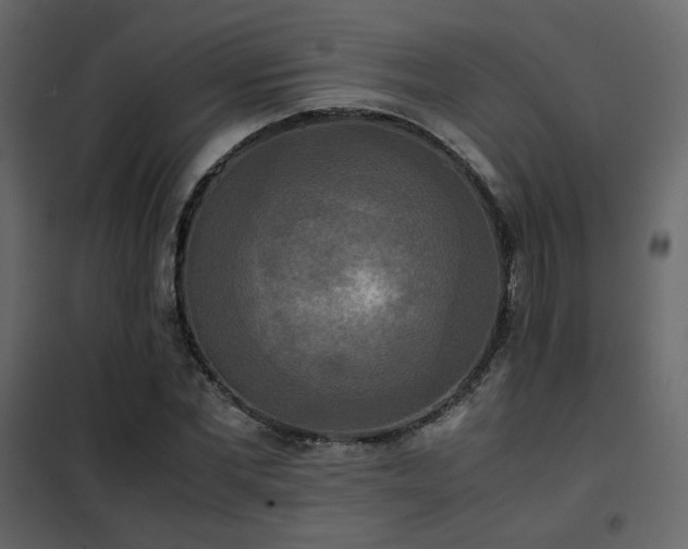 X0000102520877200808081425