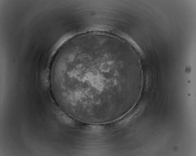 X0000102520878200808081425