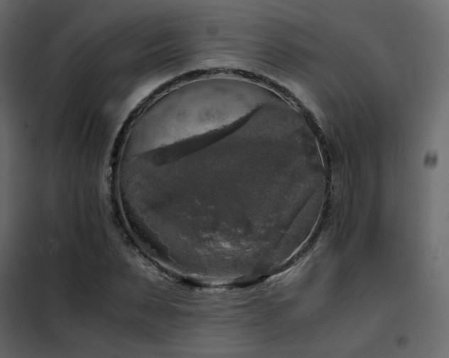 X0000102520879200808081425