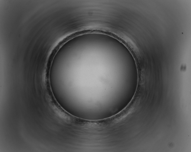 X0000102520880200808081425