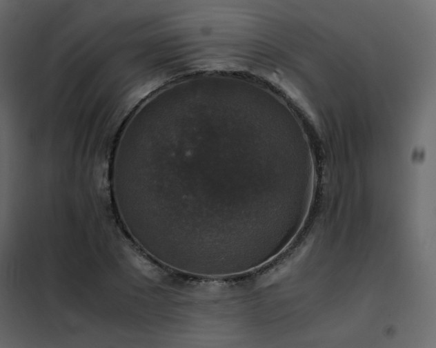 X0000102520881200808081425