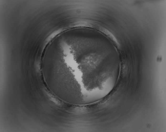 X0000102520882200808081425