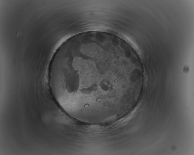 X0000102520883200808081425