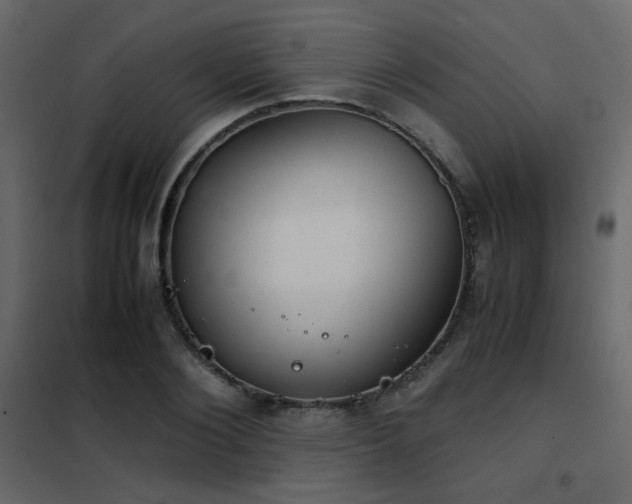 X0000102520884200808081425