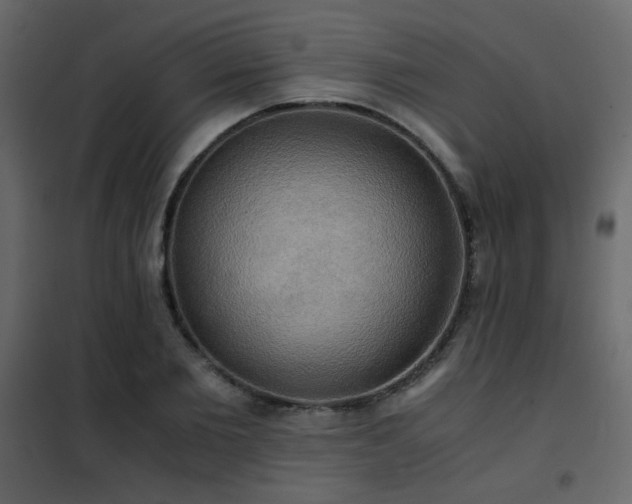 X0000102520885200808081425