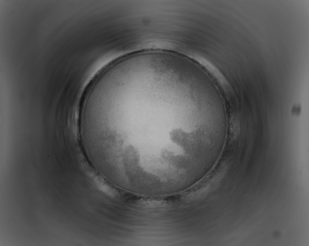 X0000102520886200808081425