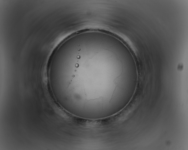 X0000102520887200808081425