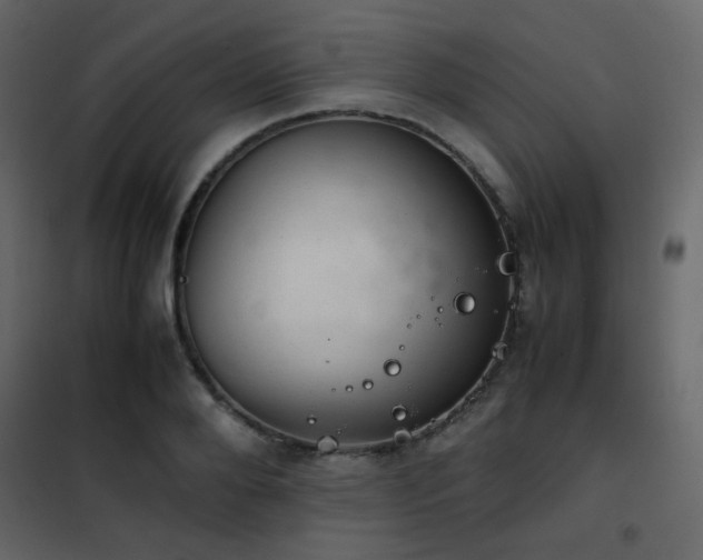 X0000102520888200808081425