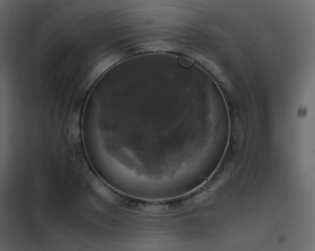 X0000102520889200808081425