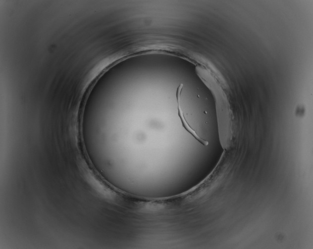 X0000102520890200808081425