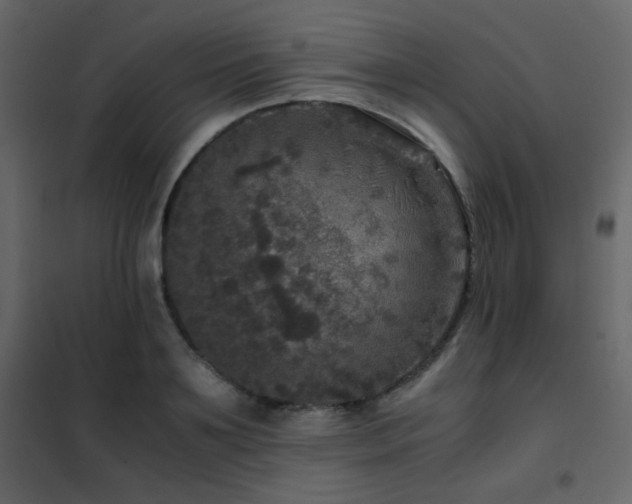 X0000102520891200808081425