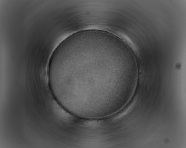 X0000102520892200808081425