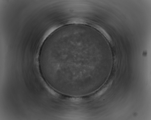 X0000102520893200808081425