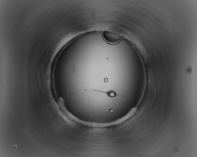 X0000102520894200808081425