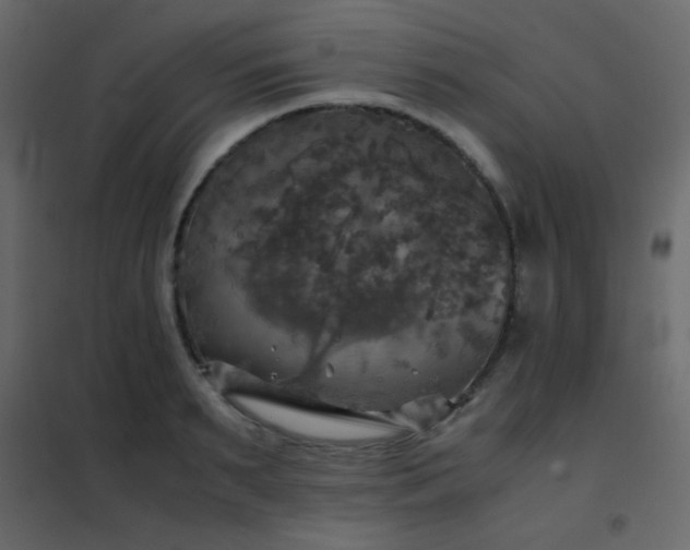 X0000102520895200808081425