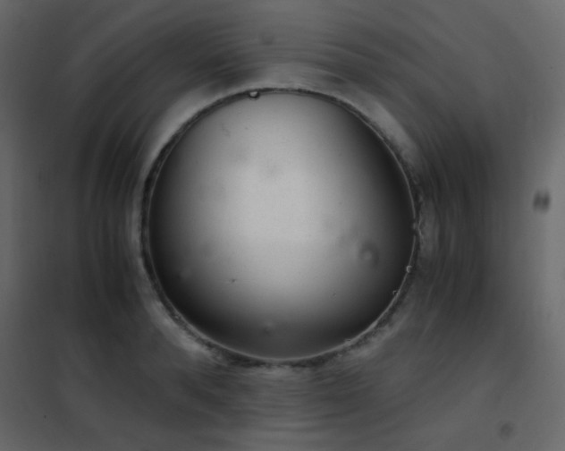 X0000102520896200808081425