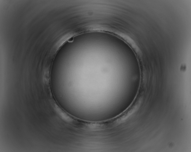 X0000102520897200808081425