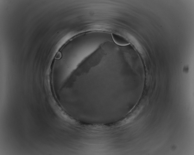 X0000102520899200808081425