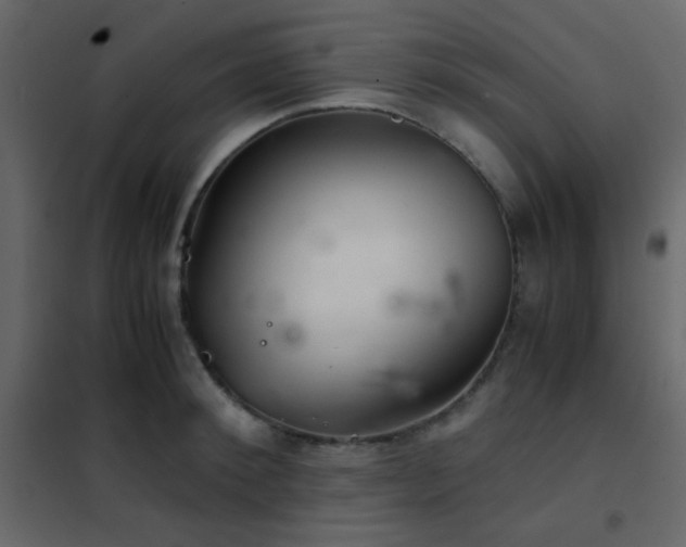 X0000102520900200808081425