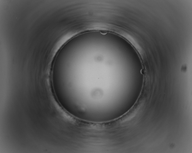 X0000102520901200808081425