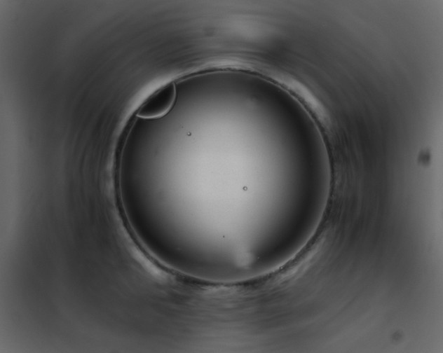 X0000102520902200808081425