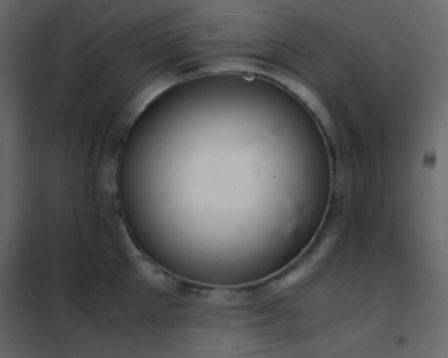 X0000102520905200808081425