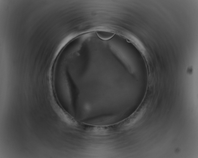 X0000102520907200808081424