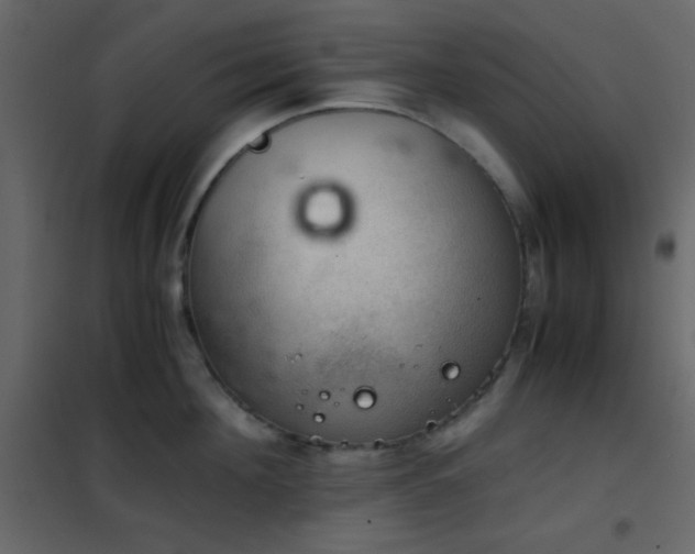 X0000102520908200808081424