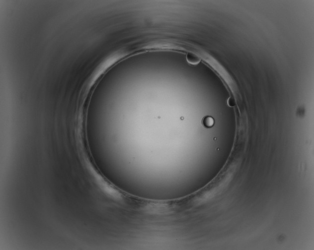 X0000102520909200808081424