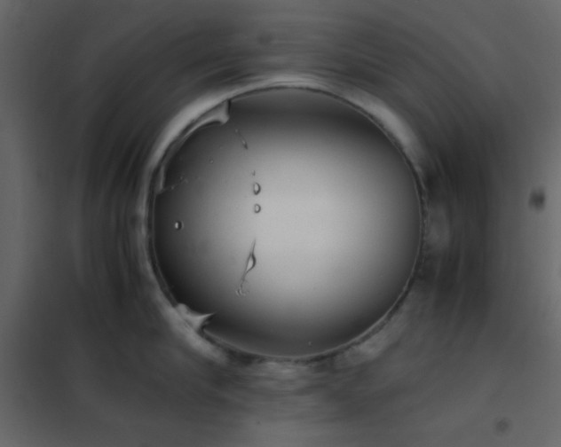 X0000102520910200808081424