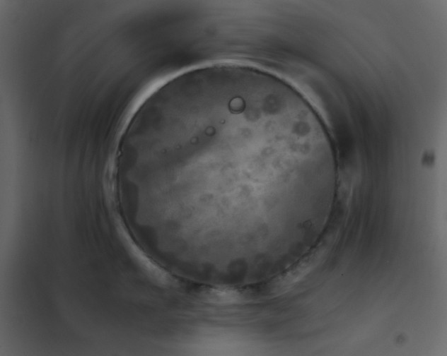 X0000102520911200808081424