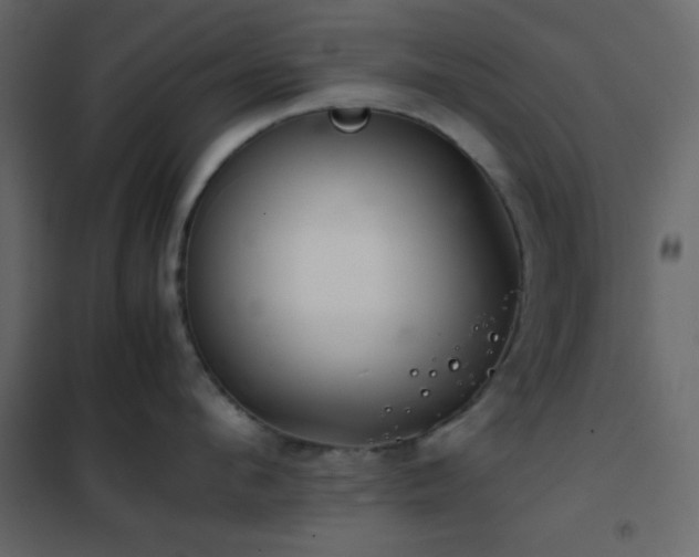 X0000102520912200808081424