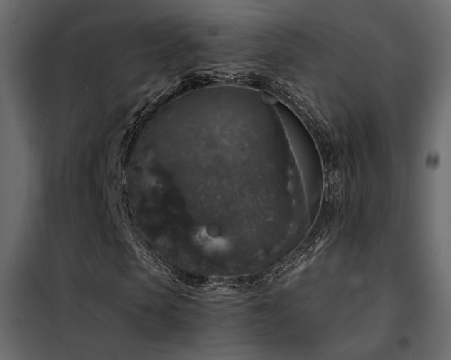 X0000102520913200808081424