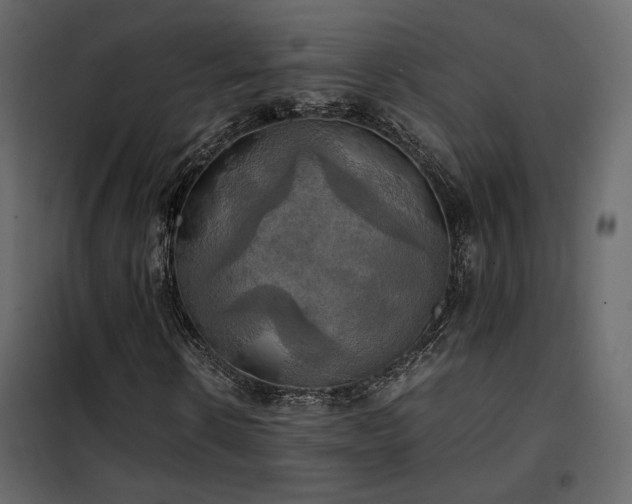 X0000102520914200808081424